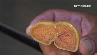 「蜜蠟烏魚子」價高3倍　八成銷海外