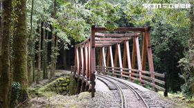 阿里山森林鐵路,水山支線。（圖／台鐵提供）