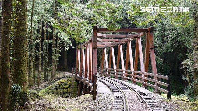 阿里山森鐵秘境　新景點藏仿古木棧橋