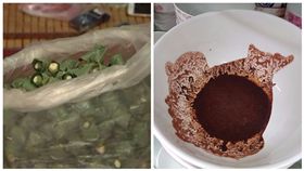 檳榔、檳榔汁,合成圖/資料照、爆廢公社