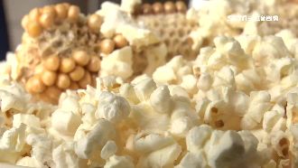 鴻海工程師創業　國內首見帶梗爆米花