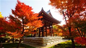 四季京都　玩出達人等級定番路線（圖／高寶書版集團）