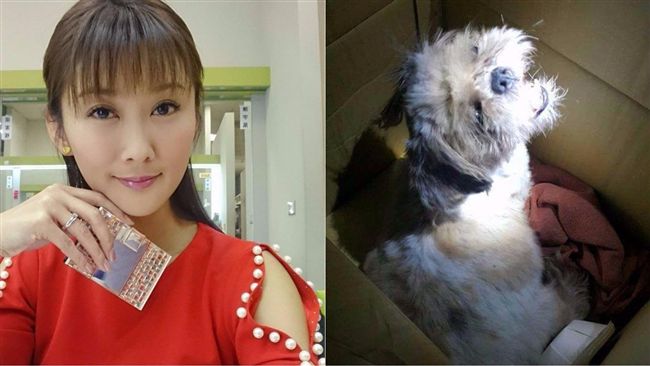 陳珮騏收編毛孩　淚求上天救女兒