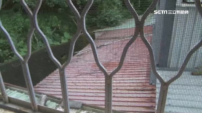 阿嬤輕功站遮雨棚頂？鄰居心裡直發毛