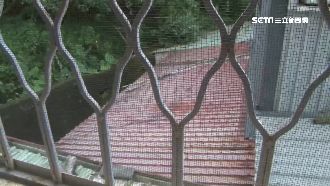 阿嬤輕功站遮雨棚頂？鄰居心裡直發毛