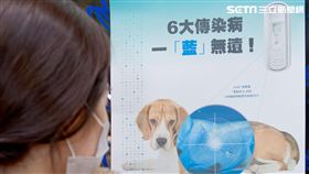 狗狗每年打疫苗就萬無一失？7成飼主迷思恐害毛孩命　圖／利眾公關提供