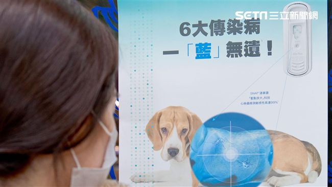 打疫苗萬無一失？飼主迷思恐害毛孩命