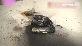 ｆ記錄器連爆1200