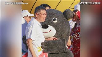 熊讚人氣爆表！萌萌噠經典鏡頭回顧