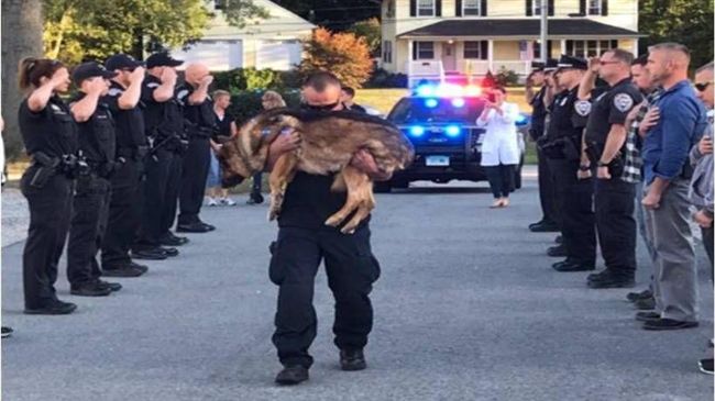 警員列隊敬禮　送罹癌警犬最後一程！