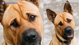 超冏汪星人阿單。