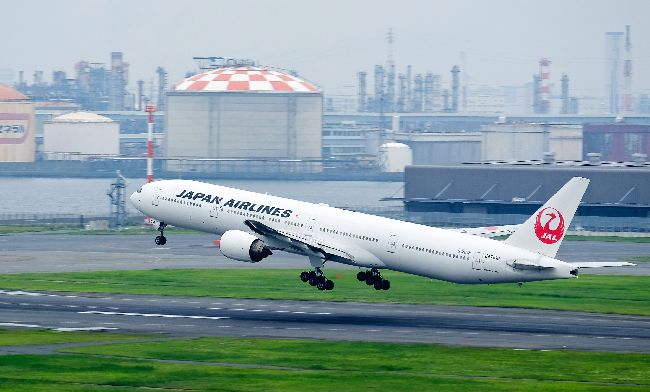 貴賓狗闖羽田機場跑道　影響14航班