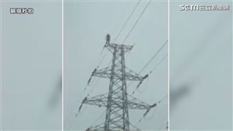爬電塔自殺害斷電！男被熱翻飆厭世話