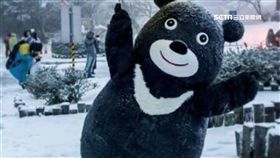 熊讚,陽明山,知名度,下雪,吉祥物,一戰成名,話題,成名