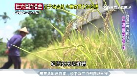 資穎悠遊卡12001