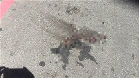 女高中生墜樓現場遺留血跡。（圖／陳啟明攝）