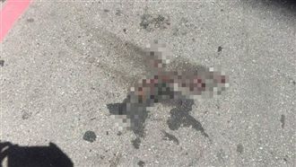 愛女墜樓身亡　父嘆：可能壓力太大