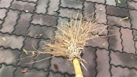 掃地、掃落葉／爆怨公社