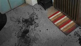 北市,砍傷,老翁,兒子,精神問題（圖／翻攝畫面）