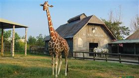 圖／翻攝自《頑皮世界》臉書