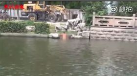 南京閱江樓,大媽洗澡,圖／秒拍