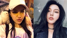 周揚青,／翻攝自周揚青微博