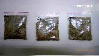 嗑「辣大麻」撞警車　駕駛抽搐如喪屍