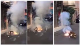 英國鬥牛犬愛玩鞭炮（圖／翻攝自YouTube-爆料公社頻道）