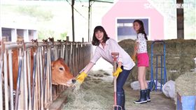 噗通噗通我愛你,魏蔓,陳奕