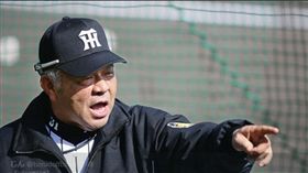阪神二軍監督掛布雅之（圖／翻攝自推特）