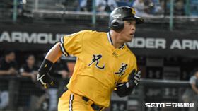 中信兄弟陳子豪　圖／記者林敬旻攝