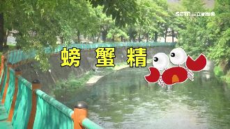 鎮「螃蟹精」？台中江川公園傳怪石柱