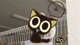 白貓越獄,喵星人,貓咪（圖／翻攝自《まさとまる》推特）