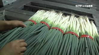 青蔥一斤破兩百元　恐一路漲到中秋節