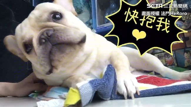 法鬥來算命　「你上輩子是炸彈」