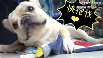 法鬥來算命　「你上輩子是炸彈」