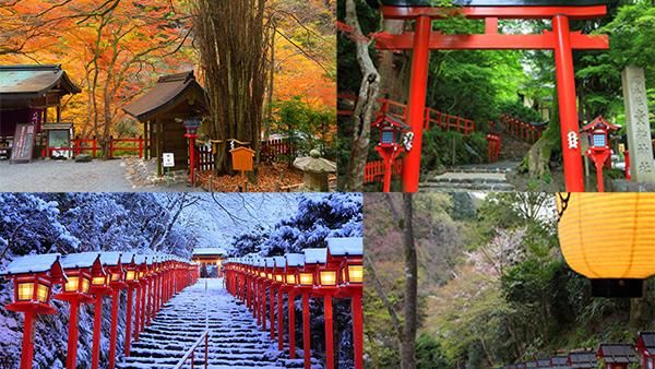 夏川床納涼避暑　秋冬神社賞楓戲雪