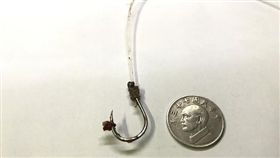 寵物滔客(圖片版權屬於滔客線上雜誌)