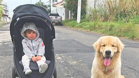 寵物滔客(圖片版權屬於滔客線上雜誌)