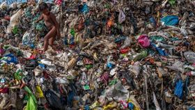 海洋垃圾,微塑料,纖維,垃圾,海鮮,啤酒,蜂蜜,水,科學家,海鮮　圖翻攝自Orb Media官網　https://goo.gl/U6KE1u