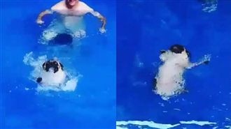 巴哥奮力划向岸邊　卻發生悲劇小插曲