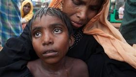 孟加拉,洛興雅,Rohingya,槍傷,迫害,種族清洗,人道危機（圖／翻攝自Nino Fezza‏推特）
https://twitter.com/search?q=Rohingya&src=typd&lang=zh-tw