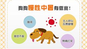名家／毛起來／狗狗慢性中暑