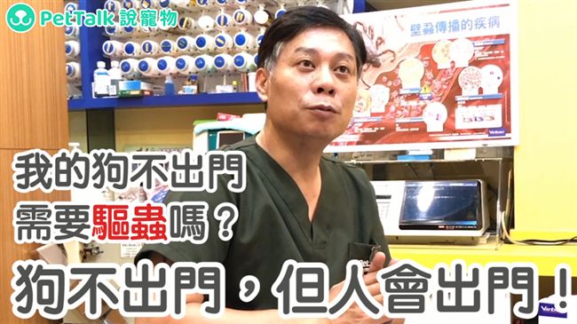定期幫狗狗驅蟲　6招教你如何滴滴劑