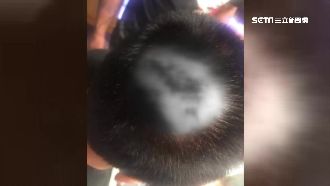 男遭7惡煞打破頭　5兩重金項鍊被搶