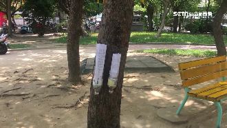 偏方掛樹任人取！9旬爺善心恐觸法