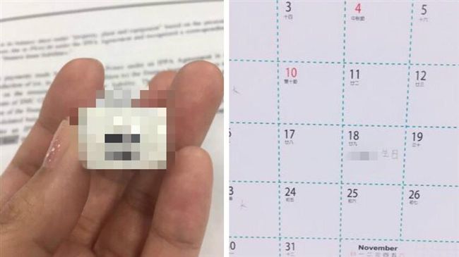 幫它過1歲生日　奇葩姊姊讓她超傻眼