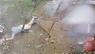 屋頂飛來大樹根　差1公分男險遭破肚