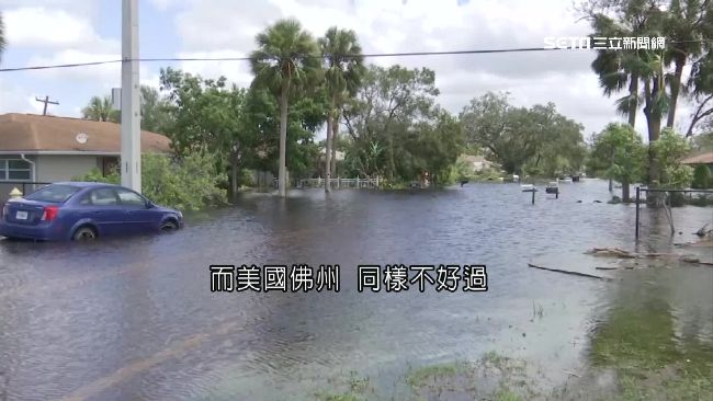 艾瑪颶風襲美國！鱷魚順遊內陸逛大街