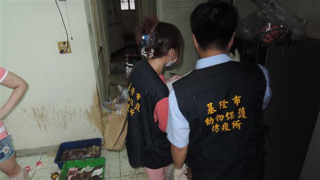 14隻貓餓死腐爛長蛆　女飼主遭送辦